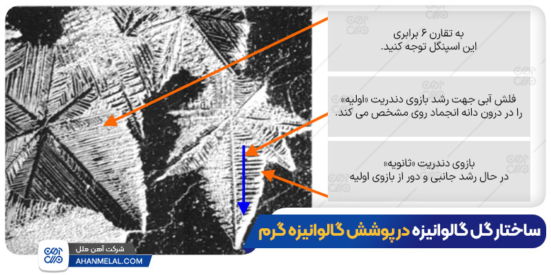 ساختار گل ورق گالوانیزه