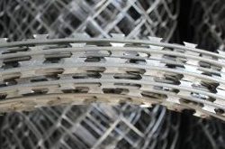 قیمت سیم خاردار حلقوی